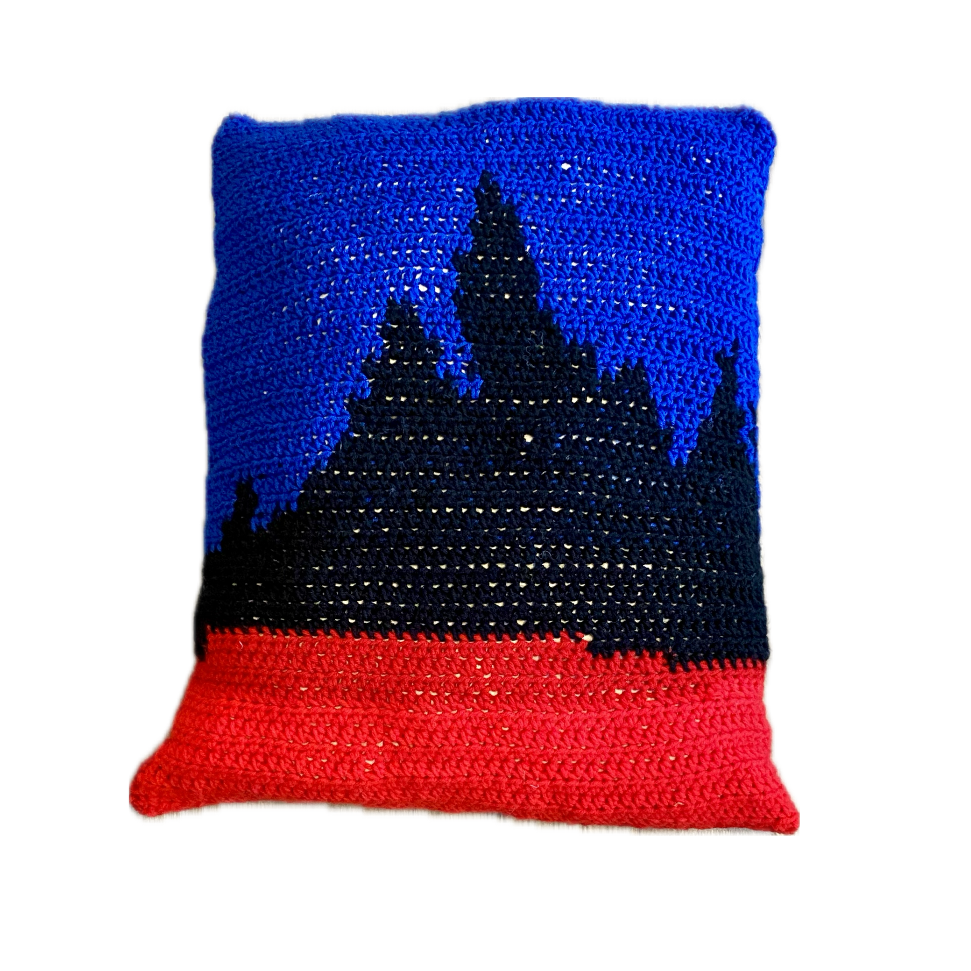Indie Artist "Discipliner" Album Cover Pillow