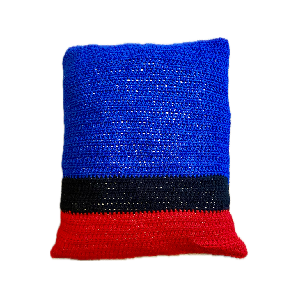 Indie Artist "Discipliner" Album Cover Pillow