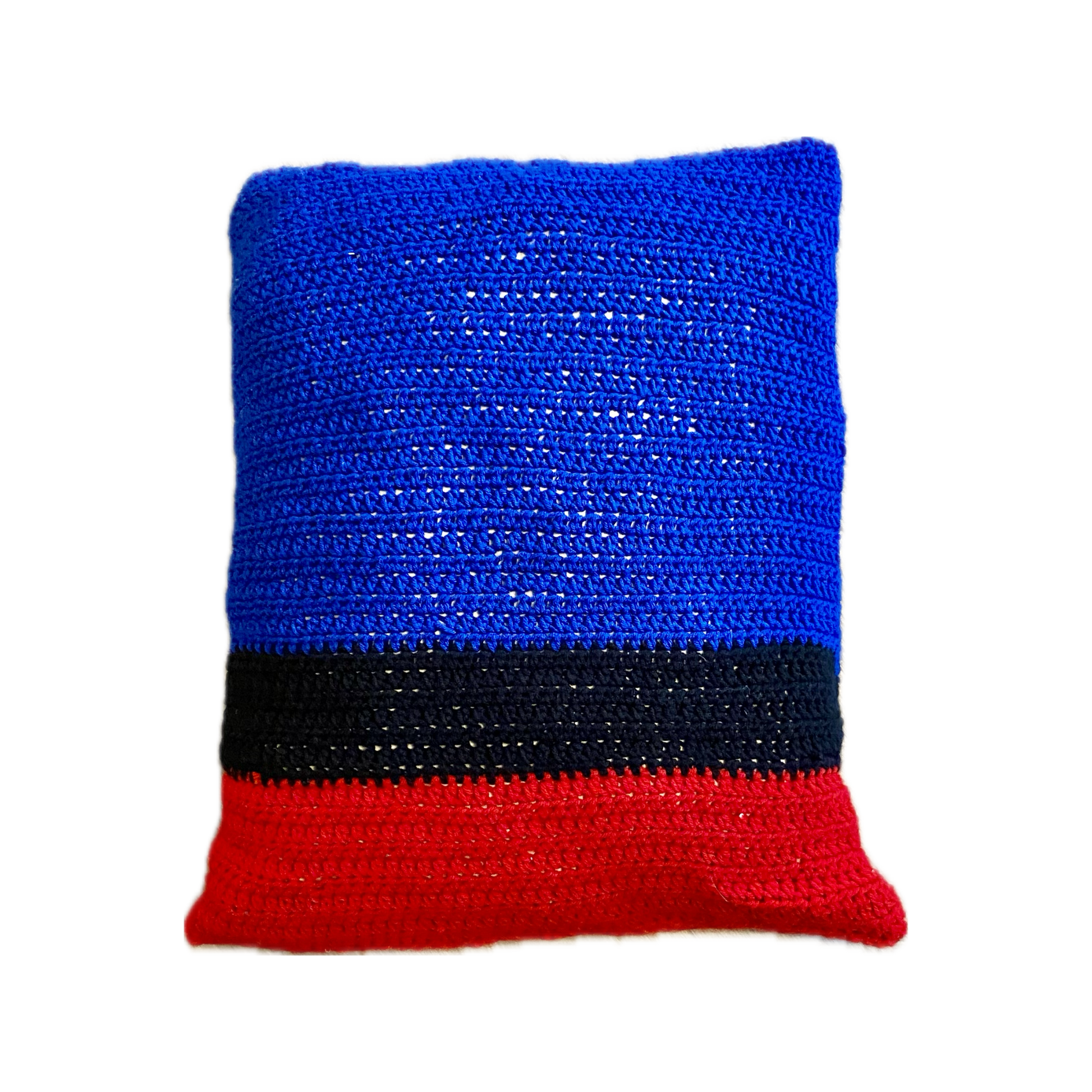 Indie Artist "Discipliner" Album Cover Pillow