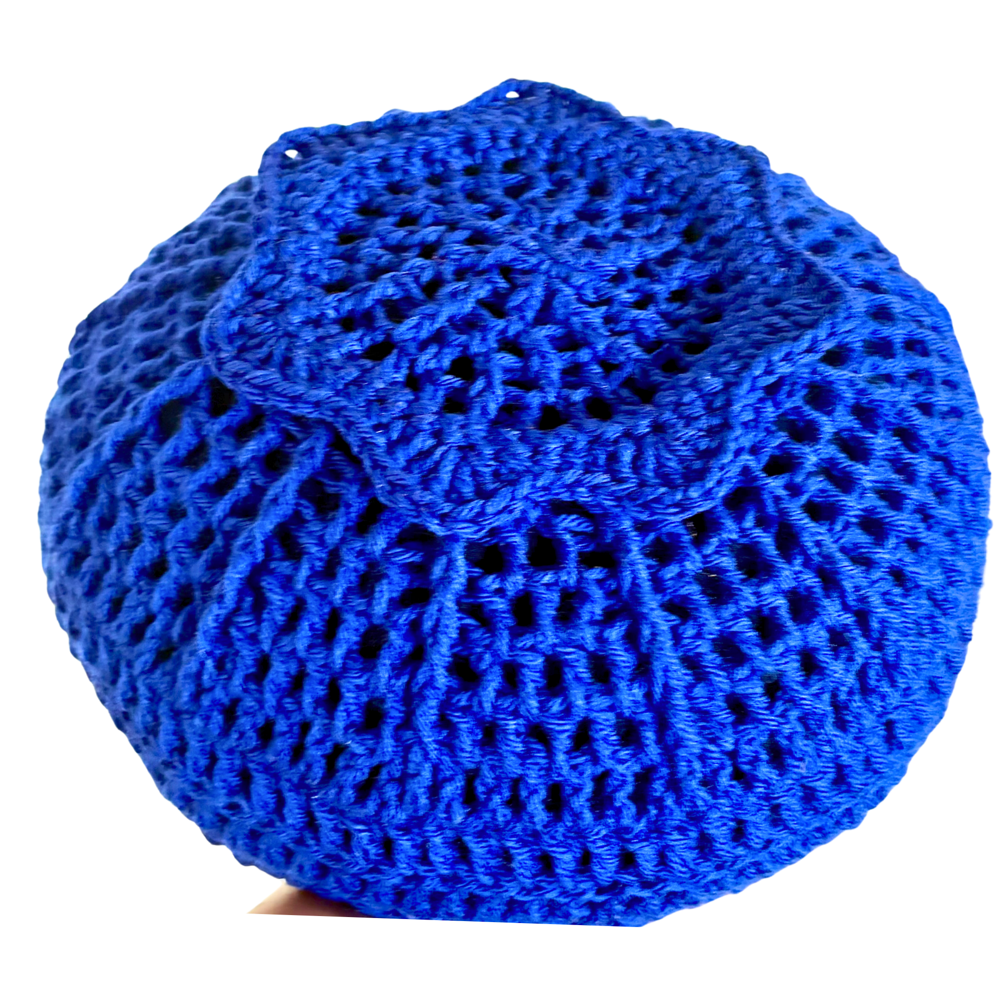 12 Inch Blueberry Throw Pillow