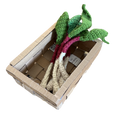 Set of Ramps